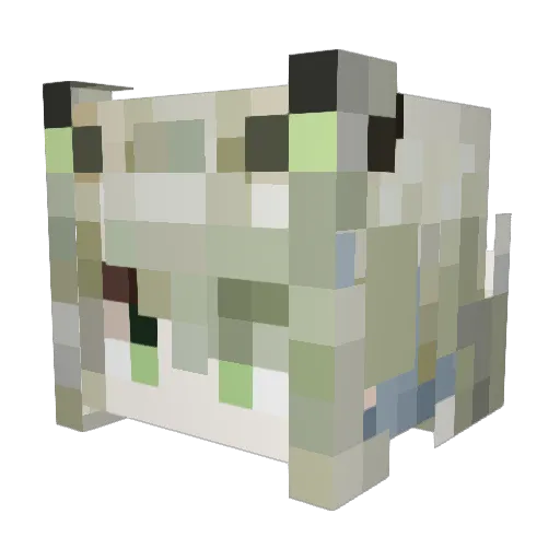 Eternally_carry Minecraft avatar head, 3D render