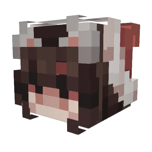 EterniTeay Minecraft avatar head, 3D render