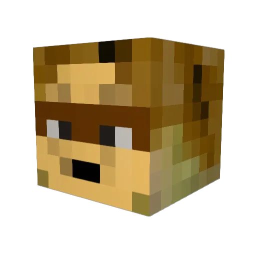 Eternis Minecraft avatar head, 3D render
