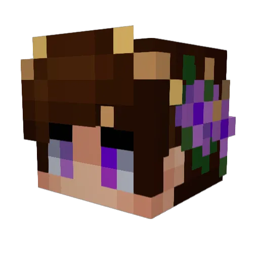 Eternityfx Minecraft avatar head, 3D render