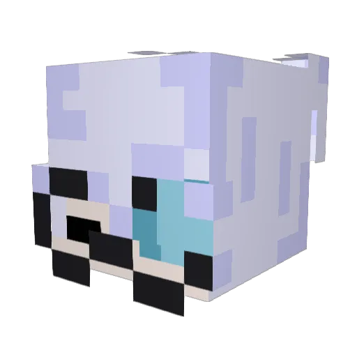 Eternull_Wxnter Minecraft avatar head, 3D render