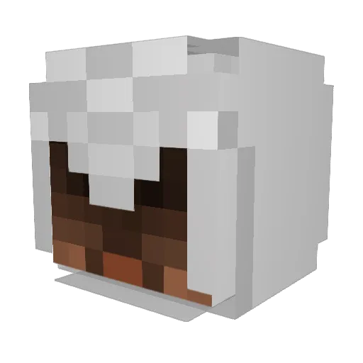 Eth4n_W Minecraft avatar head, 3D render