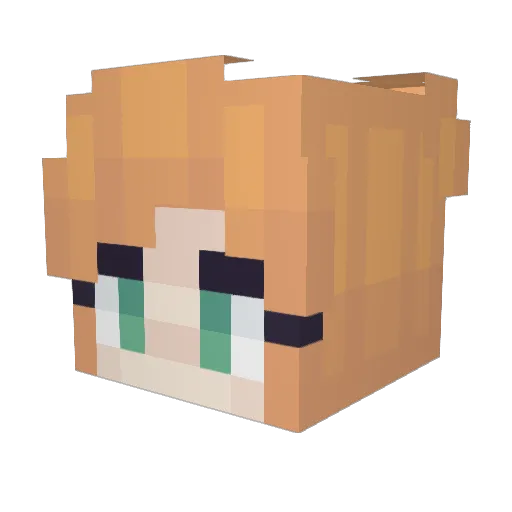 Ethan145 Minecraft avatar head, 3D render