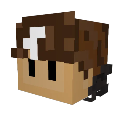 EthanChadrick Minecraft avatar head, 3D render