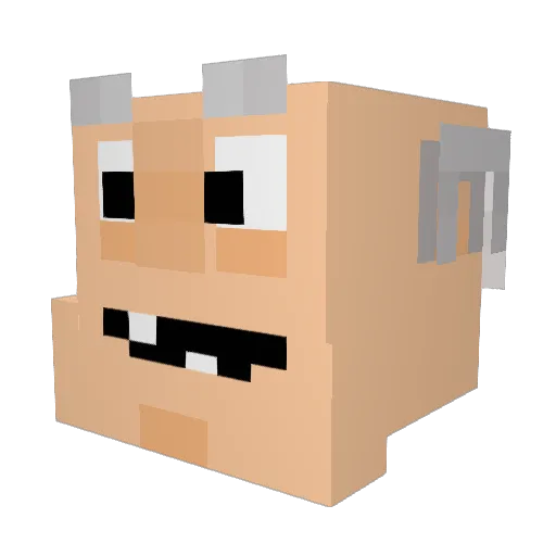 EthanCoats1 Minecraft avatar head, 3D render