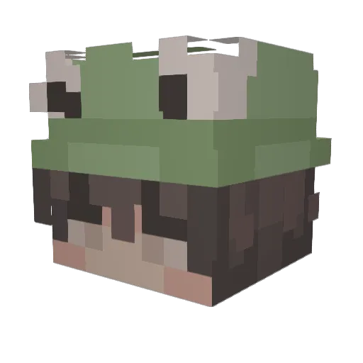 EthanEthan1234 Minecraft avatar head, 3D render