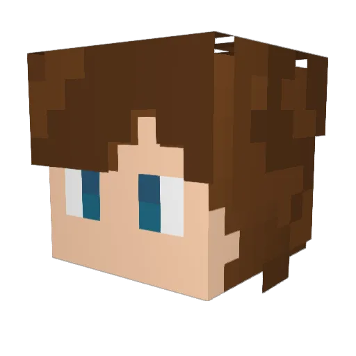 EthanFrey Minecraft avatar head, 3D render