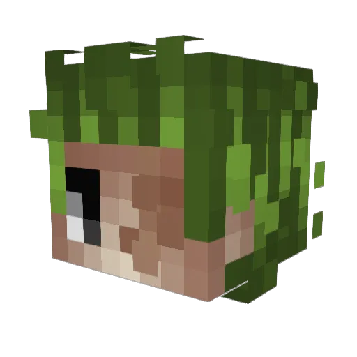 EthanHacks190XD Minecraft avatar head, 3D render