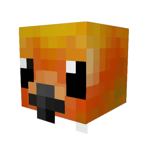EthanJackson2006 Minecraft avatar head, 3D render