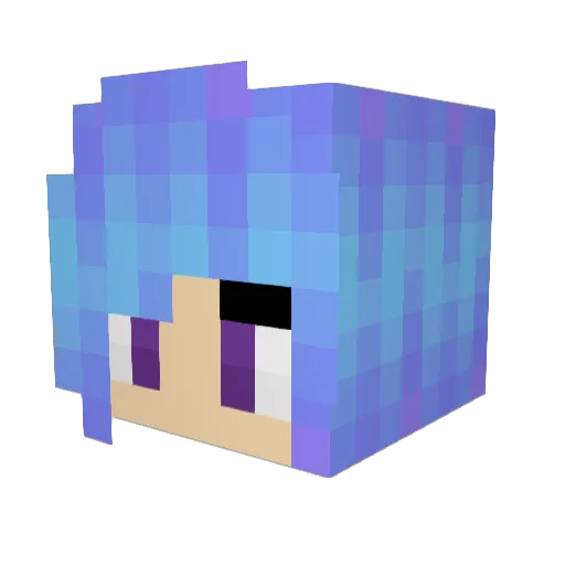 EthanLNG Minecraft avatar head, 3D render