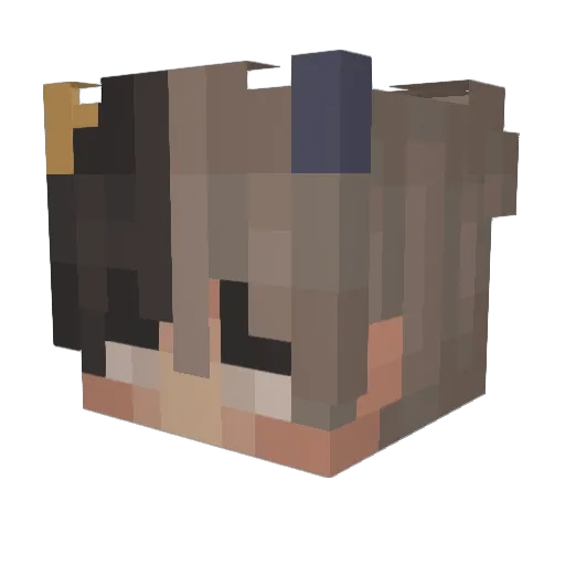 EthanNelson Minecraft avatar head, 3D render