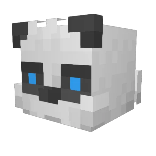 EthanPanda48 Minecraft avatar head, 3D render
