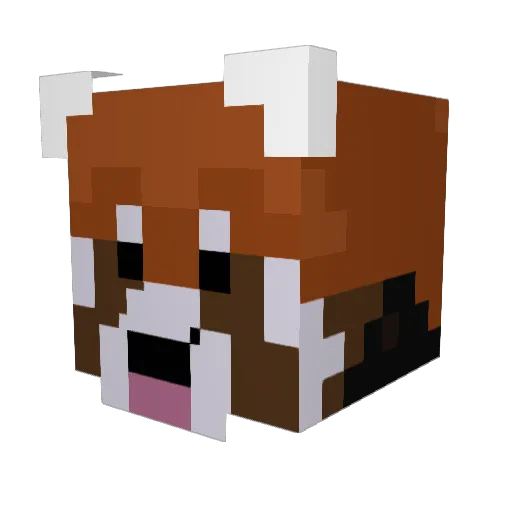 EthanPhoenix77 Minecraft avatar head, 3D render