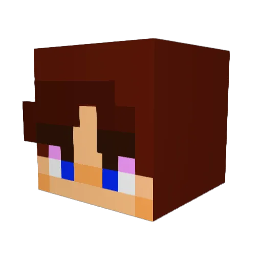 EthanPro24 Minecraft avatar head, 3D render