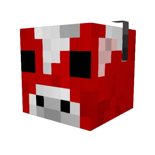 EthanRandomGuy Minecraft avatar head, 3D render