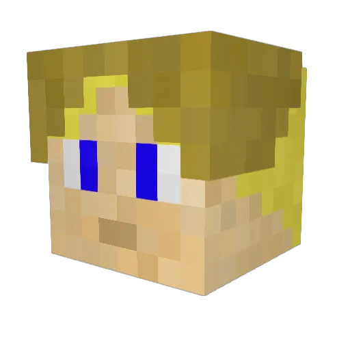 EthanRaymond04 Minecraft avatar head, 3D render