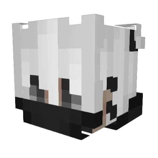EthanSimps69 Minecraft avatar head, 3D render