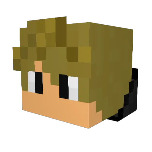 EthanSwims Minecraft avatar head, 3D render