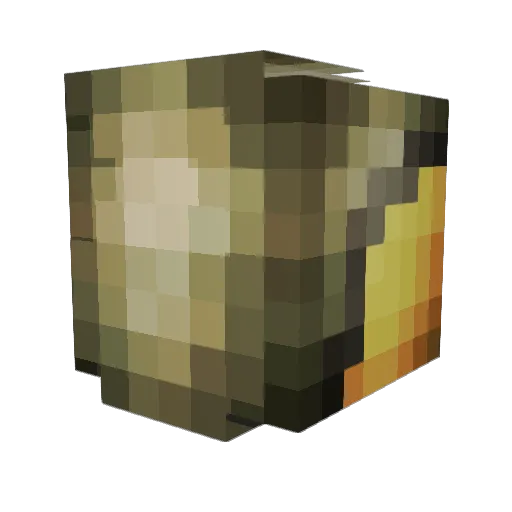 Ethan_20000 Minecraft avatar head, 3D render