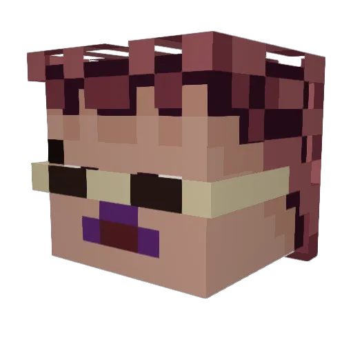 Ethan_3420 Minecraft avatar head, 3D render