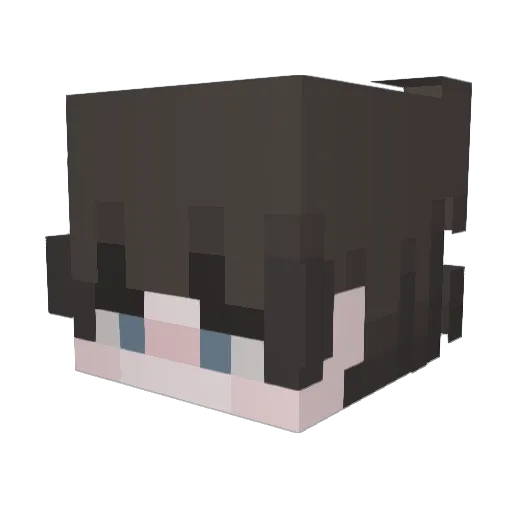 Ethan_G1 Minecraft avatar head, 3D render
