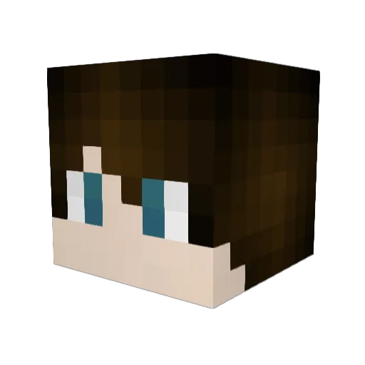 Ethanhlc Minecraft avatar head, 3D render