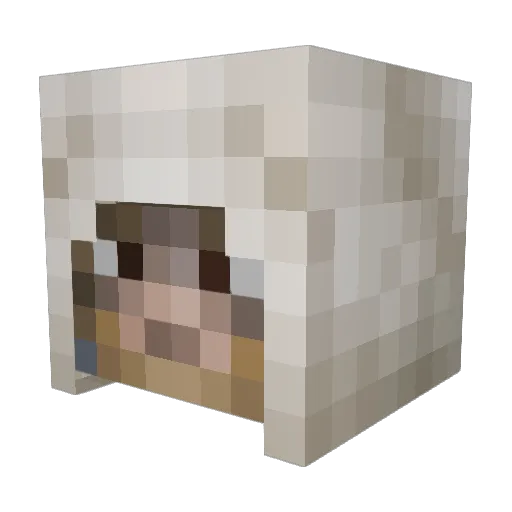 Ethanlegamer Minecraft avatar head, 3D render