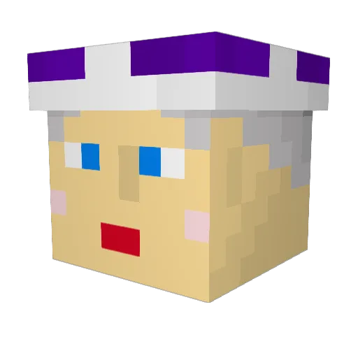 Ethannounet Minecraft avatar head, 3D render