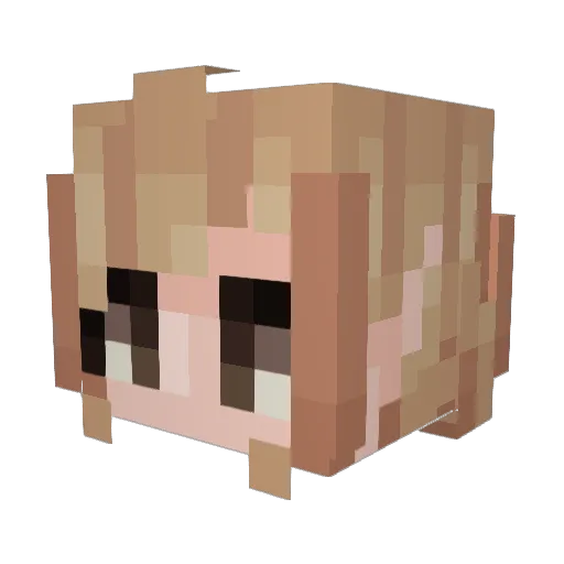 Ethanol8 Minecraft avatar head, 3D render