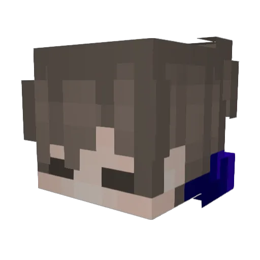 Ethanpark0403 Minecraft avatar head, 3D render