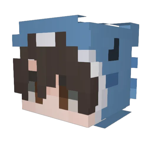 Ethanrr Minecraft avatar head, 3D render
