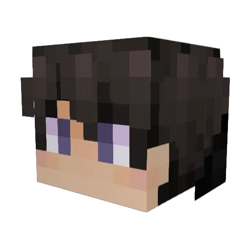 Ethanruff_ Minecraft avatar head, 3D render