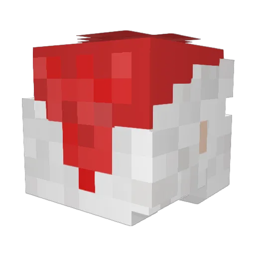 EthansInControl Minecraft avatar head, 3D render