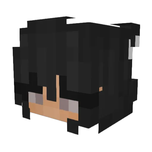 Ethen6969 Minecraft avatar head, 3D render