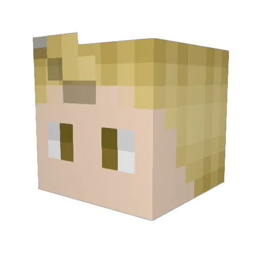 Ether0p12348 Minecraft avatar head, 3D render