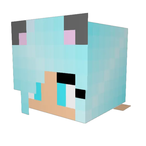 Ether2805 Minecraft avatar head, 3D render