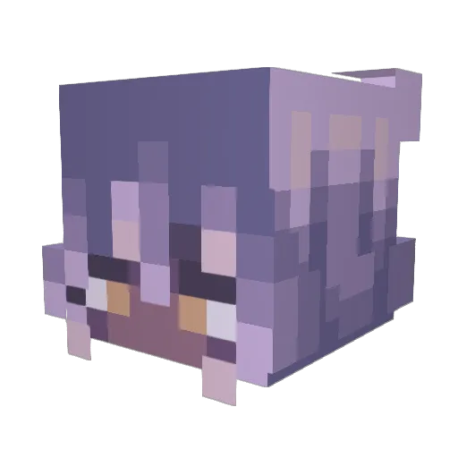 EtherealSanctity Minecraft avatar head, 3D render