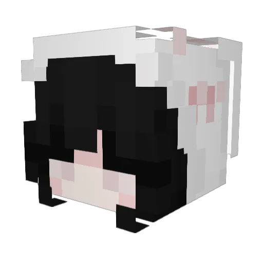 Ethereal_22 Minecraft avatar head, 3D render