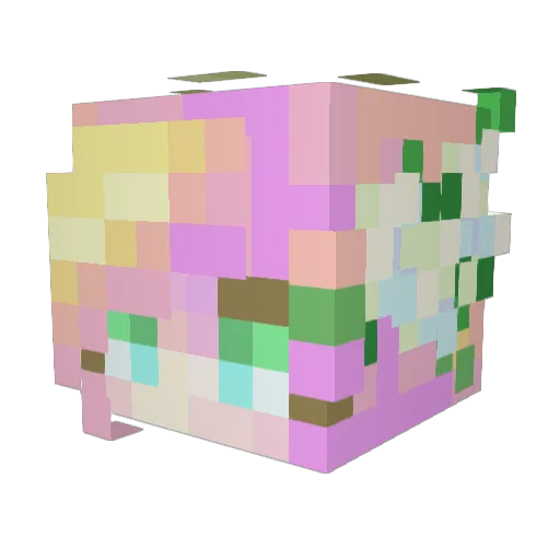 Ethereally1 Minecraft avatar head, 3D render