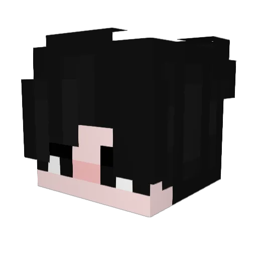 Etherealzxc Minecraft avatar head, 3D render