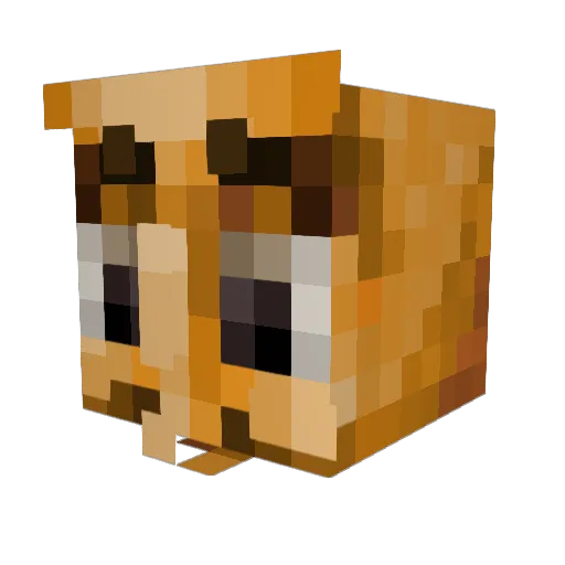 Etheriun Minecraft avatar head, 3D render