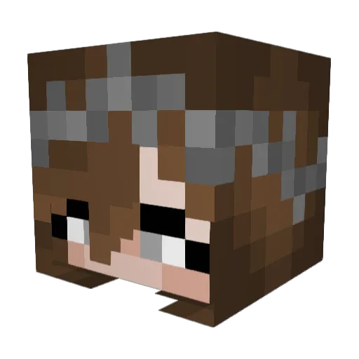 Etherrae Minecraft avatar head, 3D render