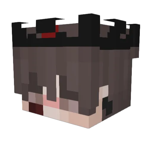 Ethes_ Minecraft avatar head, 3D render