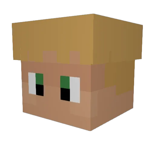 Ethinian Minecraft avatar head, 3D render