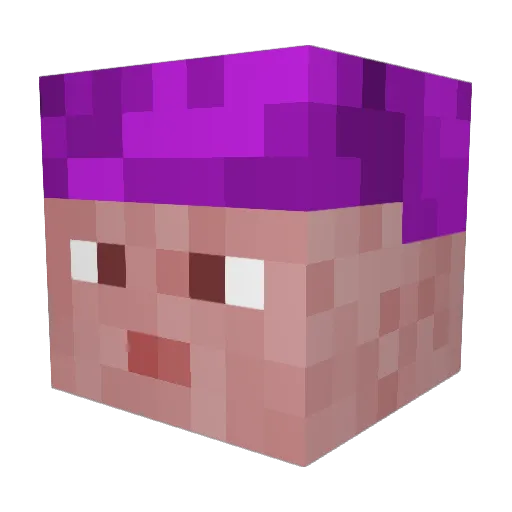 EthnicrLRgYIU Minecraft avatar head, 3D render