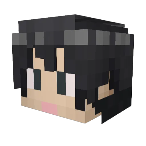 Ethon17 Minecraft avatar head, 3D render