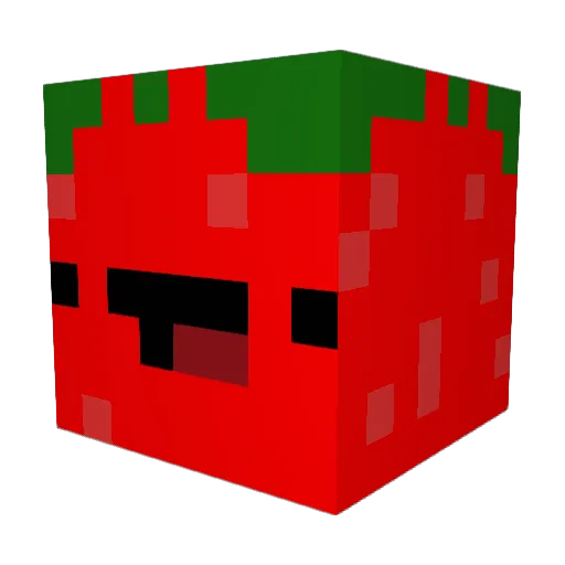 Etienne0913 Minecraft avatar head, 3D render