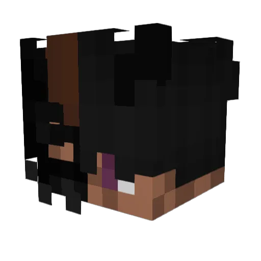 Etiluso Minecraft avatar head, 3D render