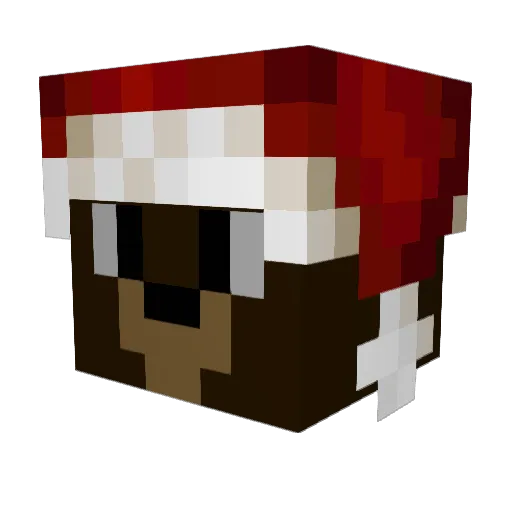 Etin0x_ Minecraft avatar head, 3D render