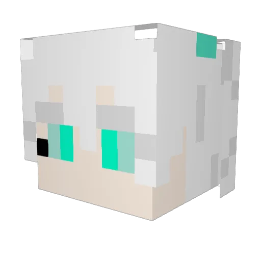 Etireugram Minecraft avatar head, 3D render